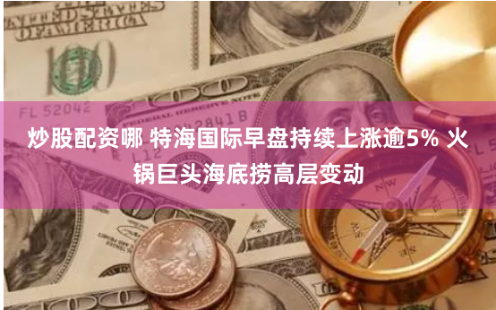 炒股配资哪 特海国际早盘持续上涨逾5% 火锅巨头海底捞高层变动