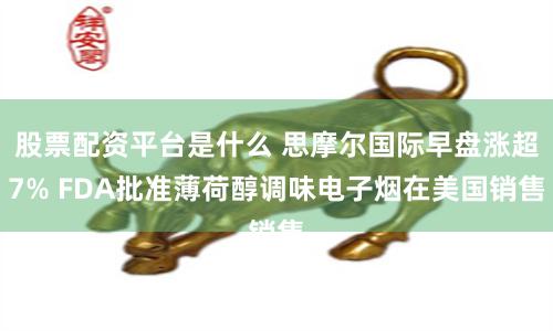 股票配资平台是什么 思摩尔国际早盘涨超7% FDA批准薄荷醇调味电子烟在美国销售