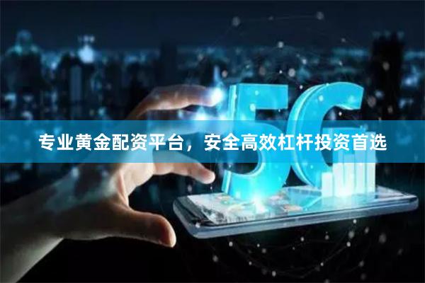 专业黄金配资平台，安全高效杠杆投资首选